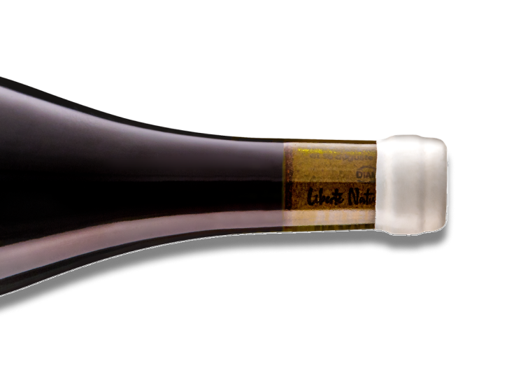 Je vois la vie en vert - carignan 1