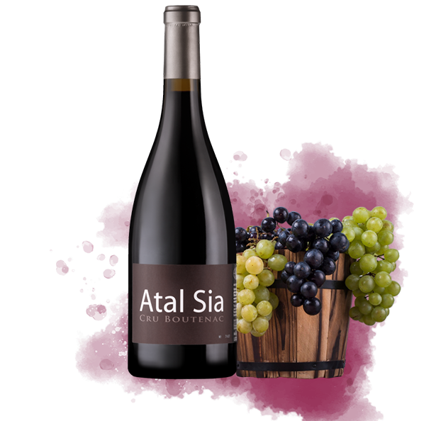Bouteille de vin Atal Sia avec panier de raisins.